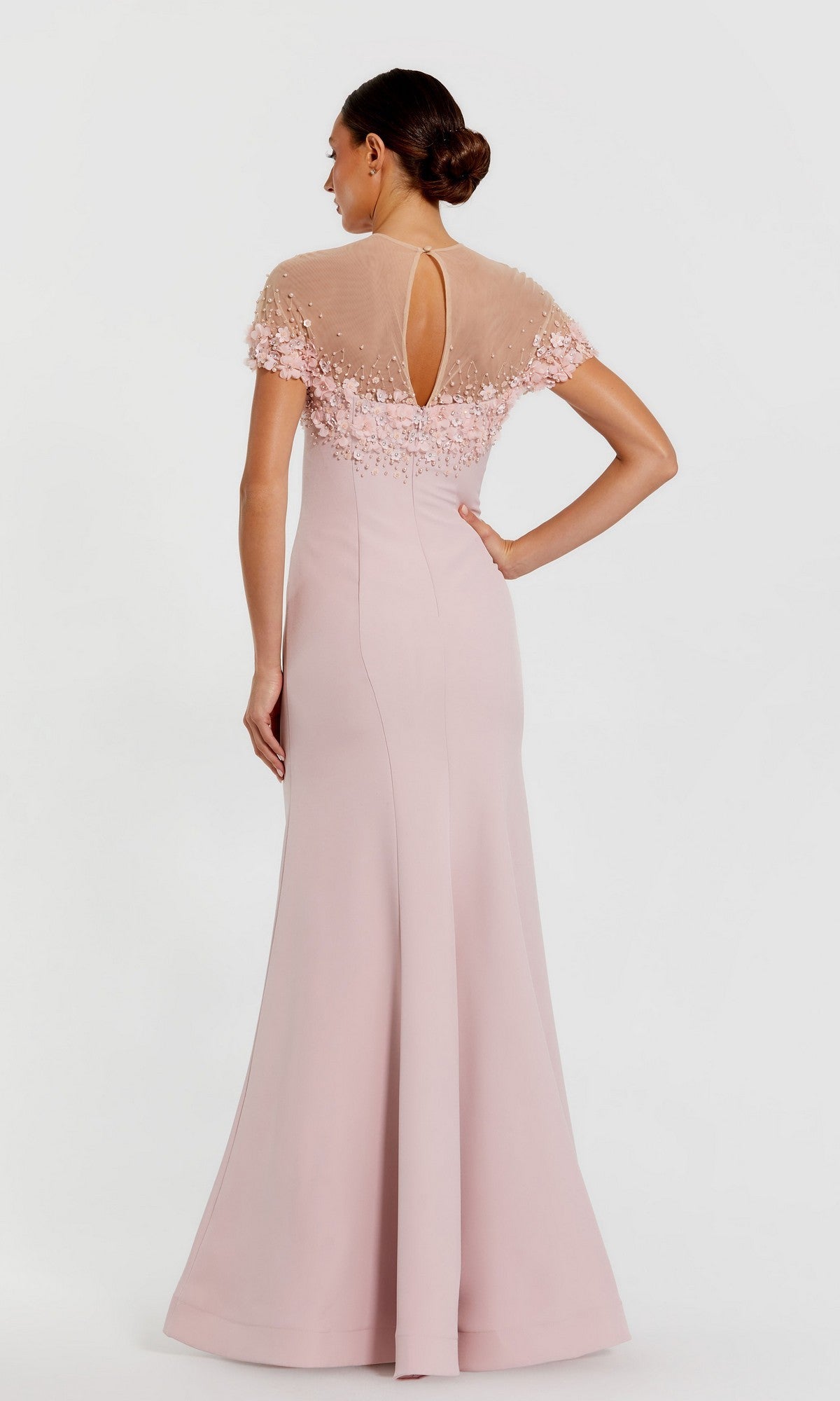 Woman wearing the Mac Duggal 11867 long formal dress in light pink, featuring floor-length design, sheer short sleeves, and floral embellishments, viewed from the back against a plain background.
